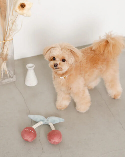 plüsch cherry hundespielzeug seil