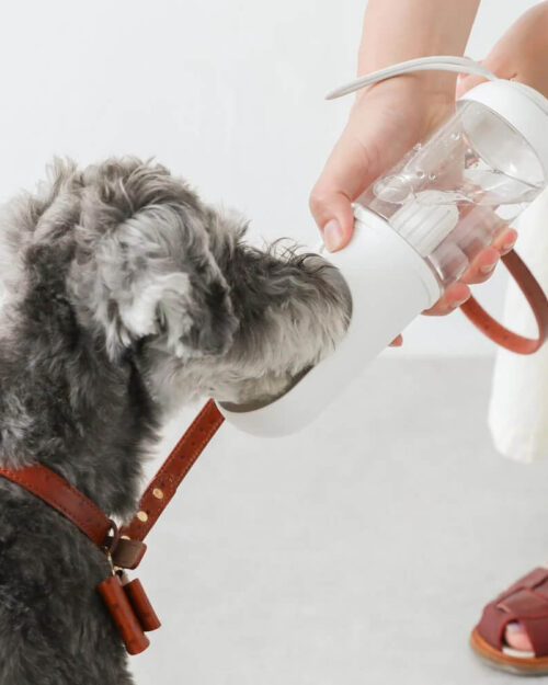 hunde wasserflasche weiss