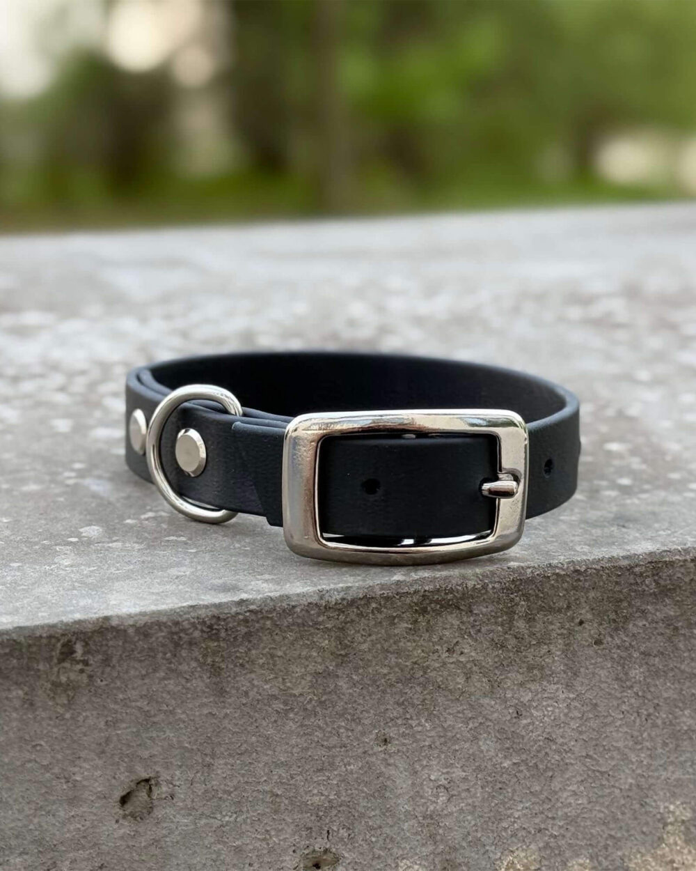 biothane hundehalsband schwarz