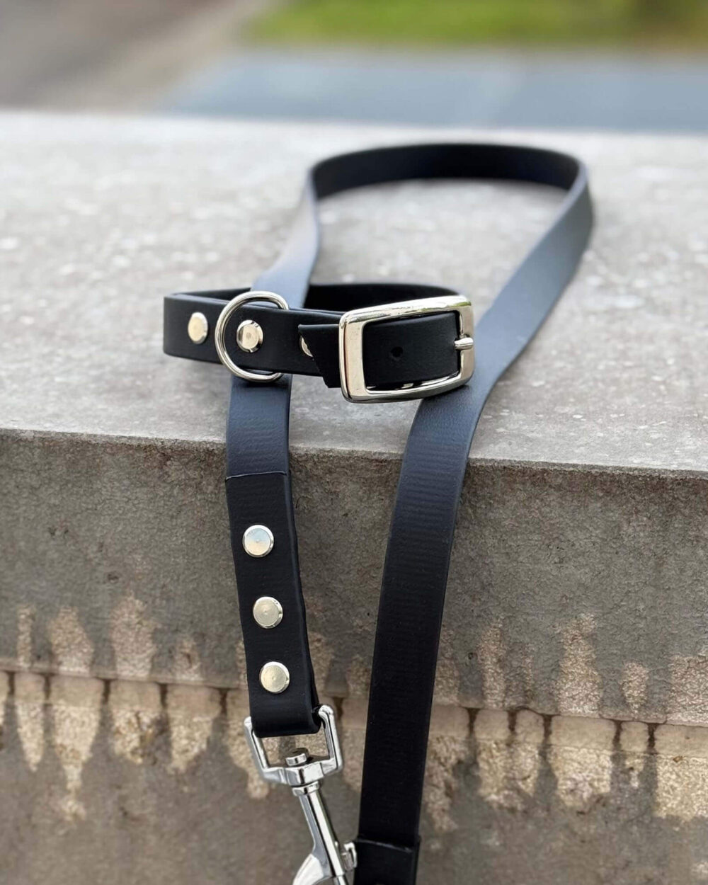 biothane hundehalsband und hundeleine set schwarz