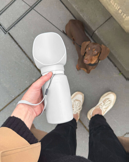 hellgrau silikon hundewasserflasche