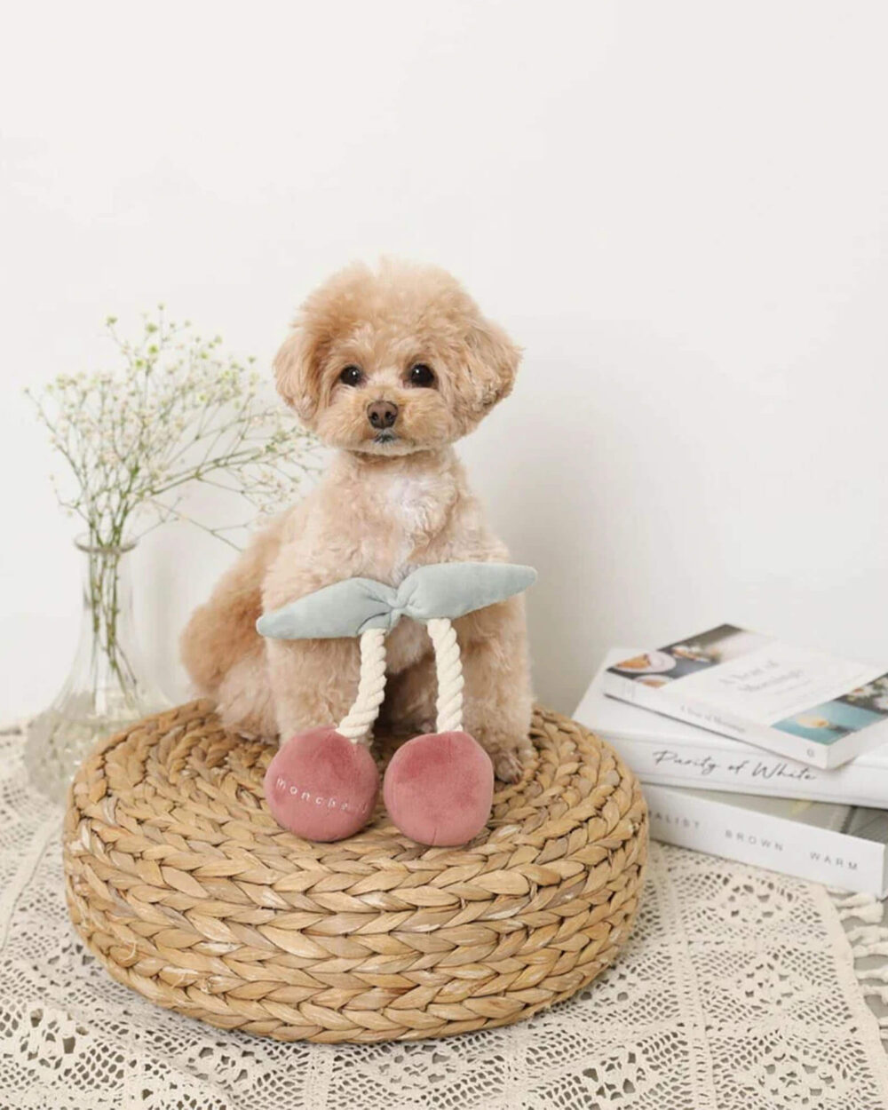 weiches cherry hundespielzeug