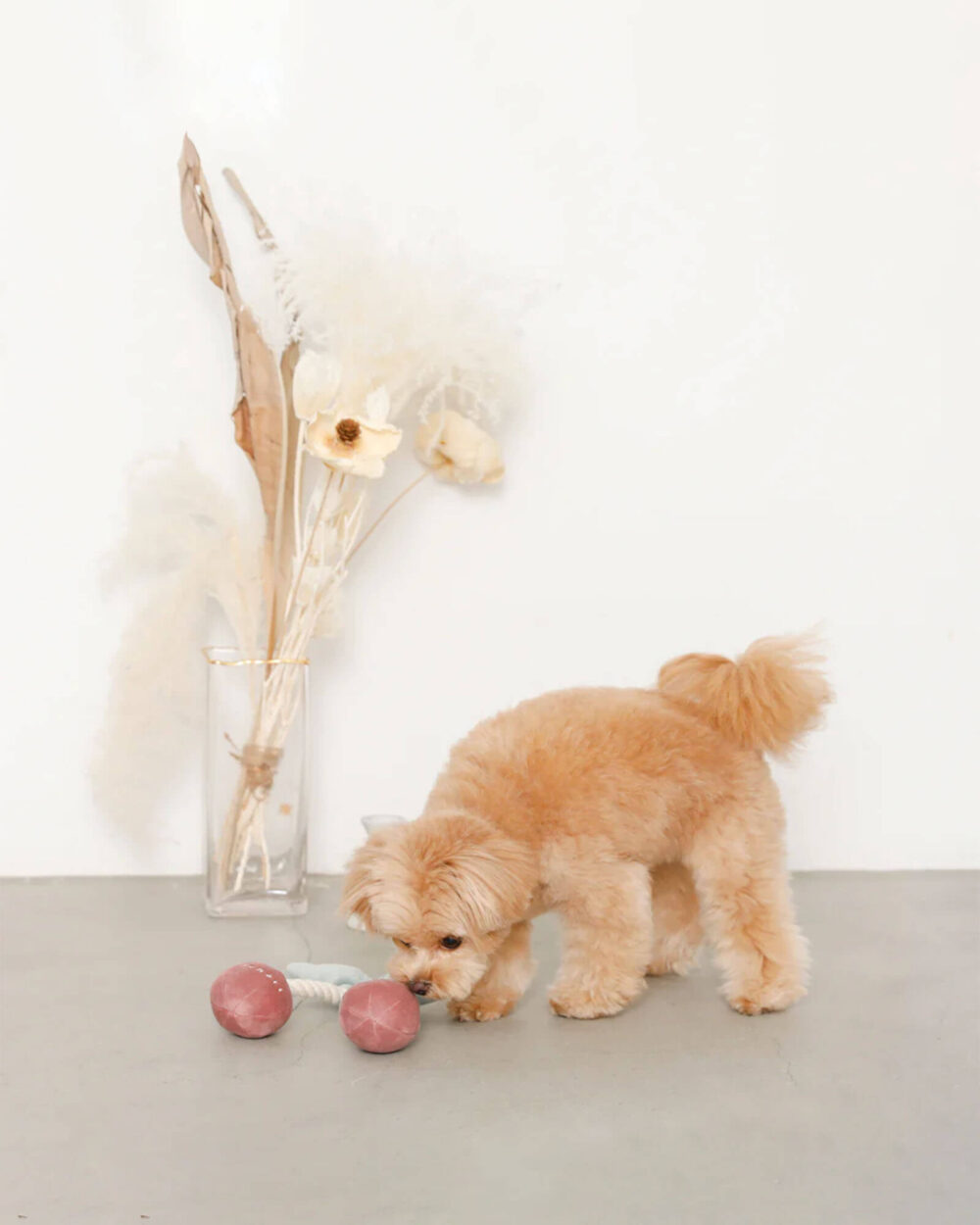 weiches cherry hundespielzeug
