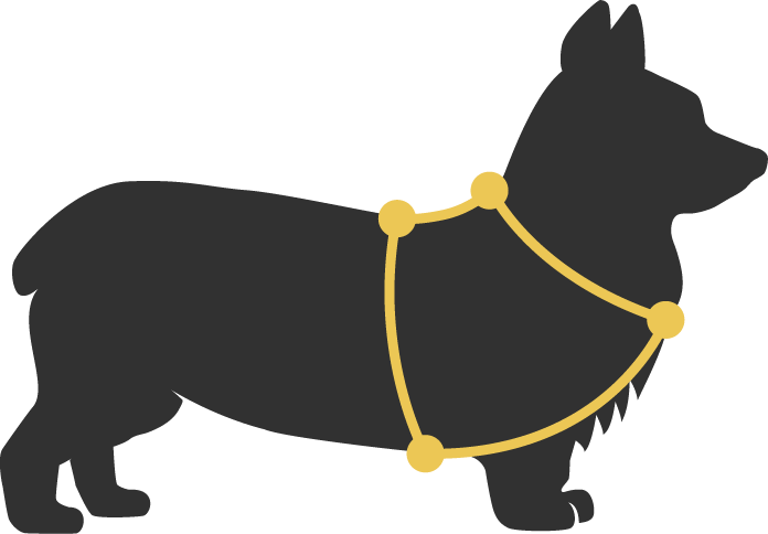 Hunde Geschirre