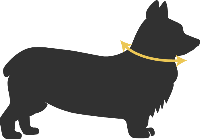 Hunde Halsbänder