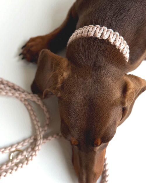 Halsband + Leine set panama pink gold