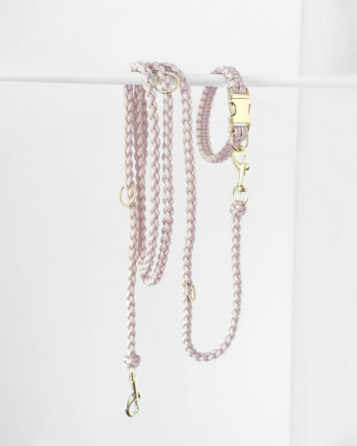 Halsband, Leine set panama pink gold